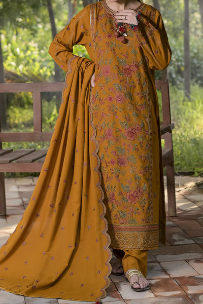 Rafia Dhanak Pret - DH07