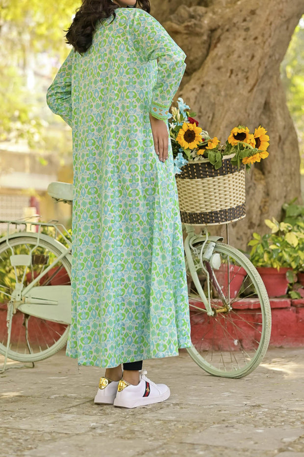 Rafia Seasonal Kurti - DPCK164