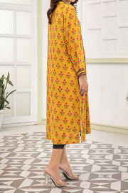 Rafia Seasonal Kurti - DPLK64