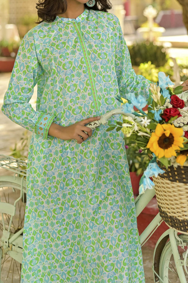 Rafia Seasonal Kurti - DPCK164