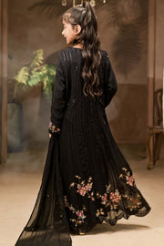 Rafia Chiffon - Occasions - N2440