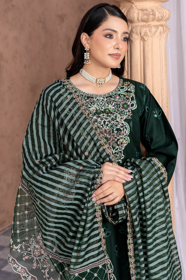 Festive Winter Cotton - Rivaaj SHEC01