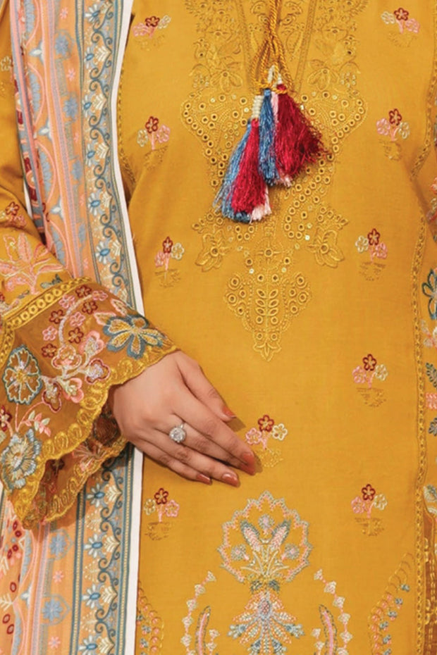 Winter Dhanak Shawl - Munira MD2325 04