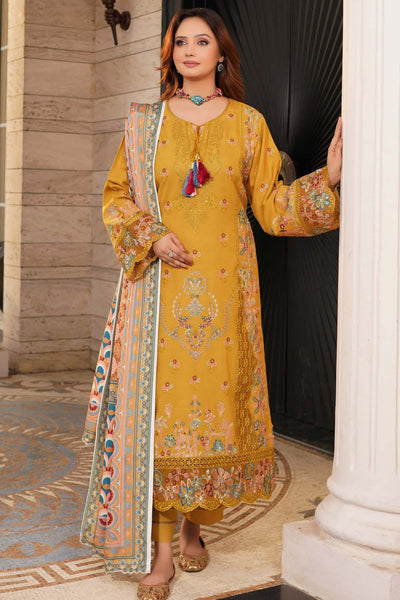 Winter Dhanak Shawl - Munira MD2325 04
