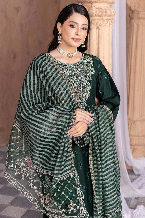 Festive Winter Cotton - Rivaaj SHEC01