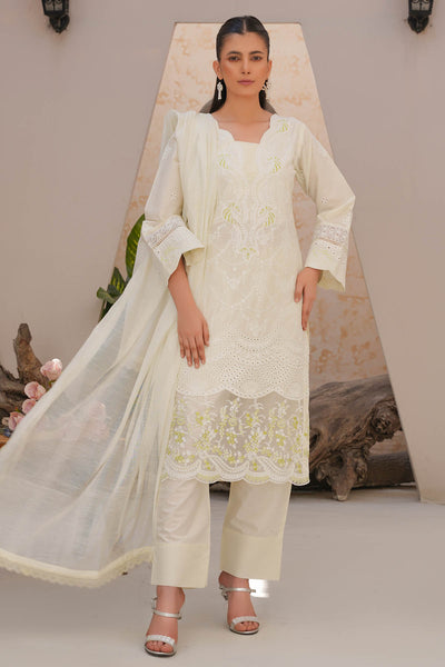 Rivaaj Festive Aadah - 1101 D3