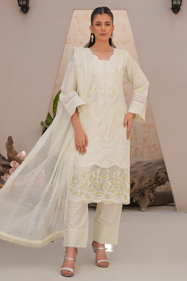 Rivaaj Festive Aadah - 1101 D3
