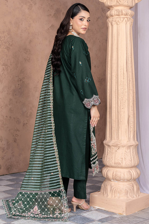 Festive Winter Cotton - Rivaaj SHEC01