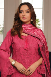 Winter Dhanak Shawl - Munira MD2325 02