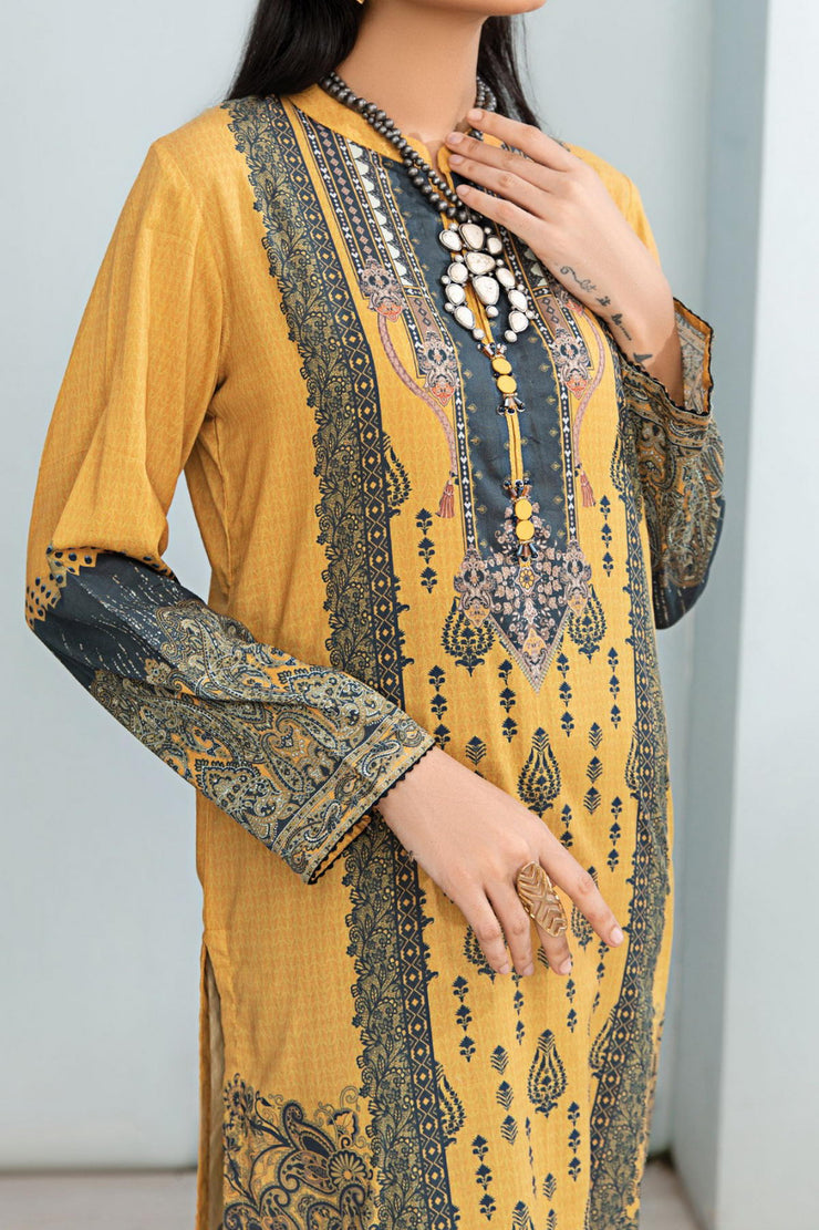 Rafia Seasonal Kurti - DPCK122