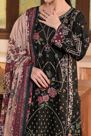 Rafia Dhanak Pret - DH10