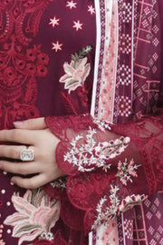 Winter Dhanak Shawl - Munira MD2325 06