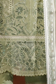 Winter Dhanak - Munira MD2125 04