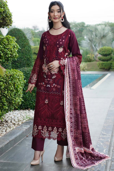 Winter Dhanak Shawl - Munira MD2325 06