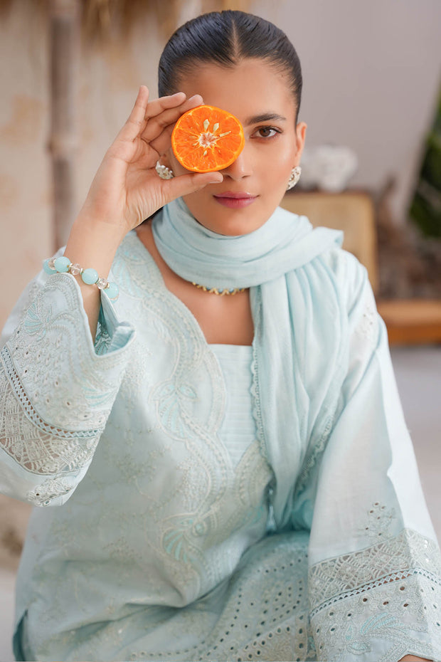 Rivaaj Festive Aadah - 1101 D1