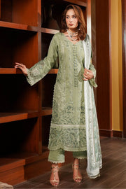 Winter Dhanak - Munira MD2125 04