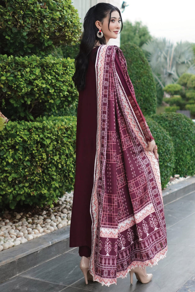 Winter Dhanak Shawl - Munira MD2325 06