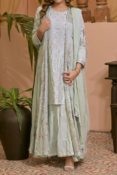 Rafia Chiffon - Occasions - N2413