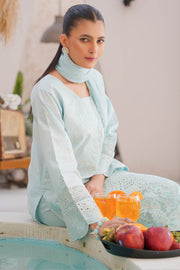 Rivaaj Festive Aadah - 1101 D1