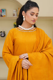 Dhanak with Velvet Shawl - Rivaaj ATTDV05