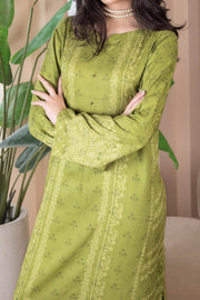 Rafia Seasonal Kurti - DPLK112