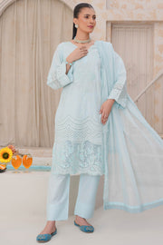Rivaaj Festive Aadah - 1101 D1