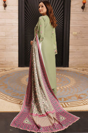 Winter Dhanak Shawl - Munira MD2325 07