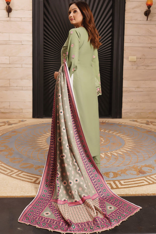Winter Dhanak Shawl - Munira MD2325 07