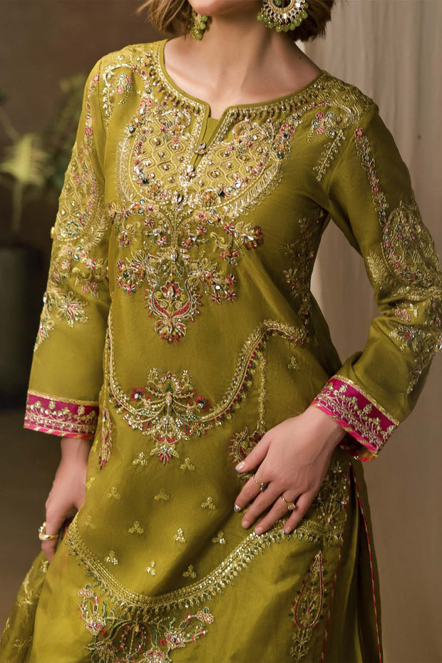 Rafia Chiffon - Occasions - N2398