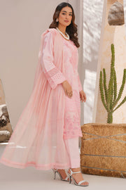 Rivaaj Festive Aadah - 1101 D2