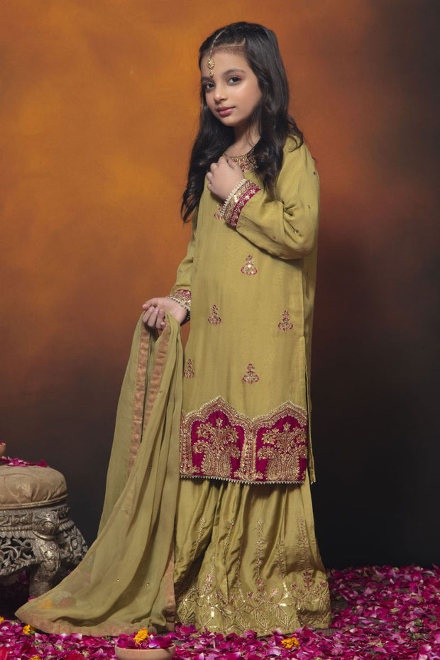 Rafia Chiffon - Mesmerise - N2371