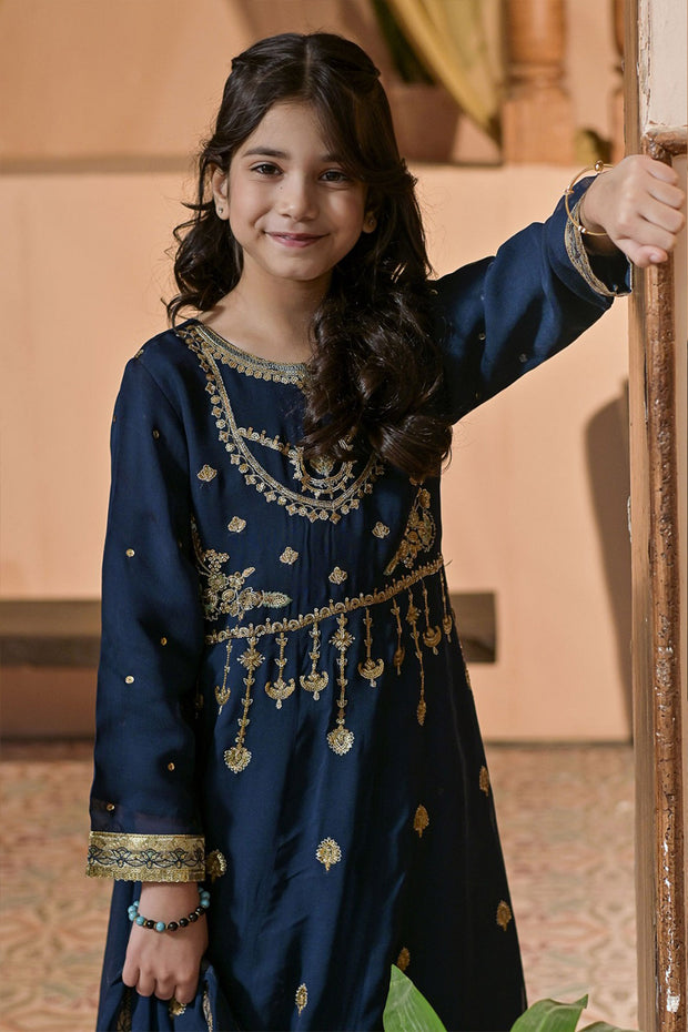Rafia Chiffon - Occasions - N2394