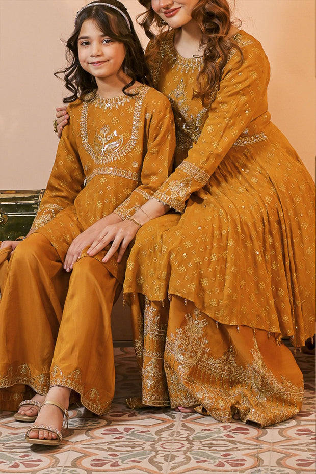 Rafia Chiffon - Occasions - N2396