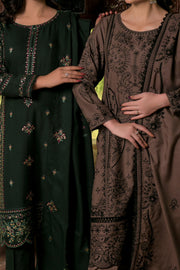 Rafia Dhanak Pret - DH16