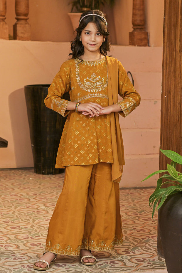 Rafia Chiffon - Occasions - N2396