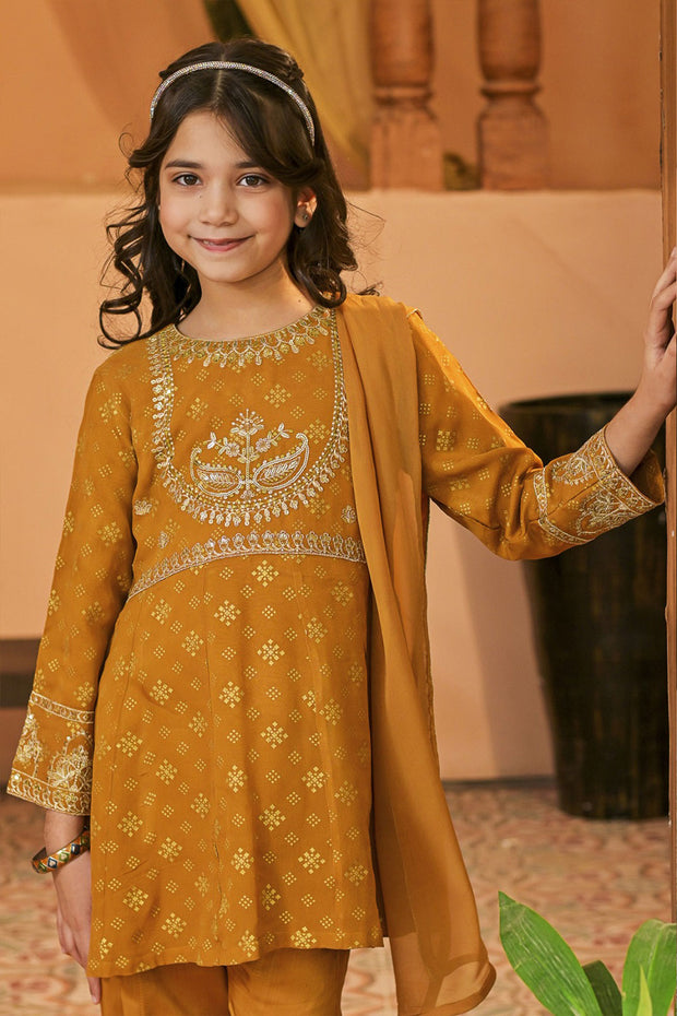 Rafia Chiffon - Occasions - N2396