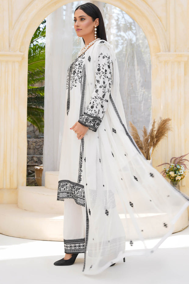 Rivaaj Festive Silk  - RIVSILK001C