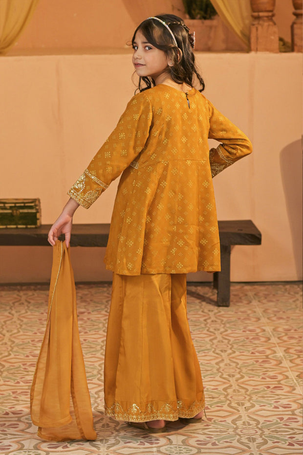 Rafia Chiffon - Occasions - N2396
