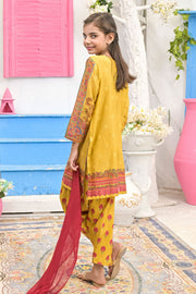 Rafia Luxury Lawn - DPC243