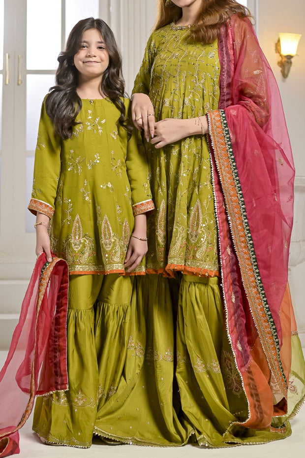 Rafia Chiffon - Occasions - N2428