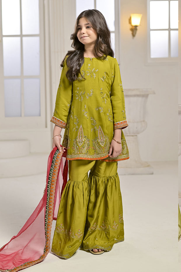 Rafia Chiffon - Occasions - N2428