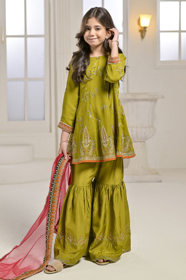 Rafia Chiffon - Occasions - N2428