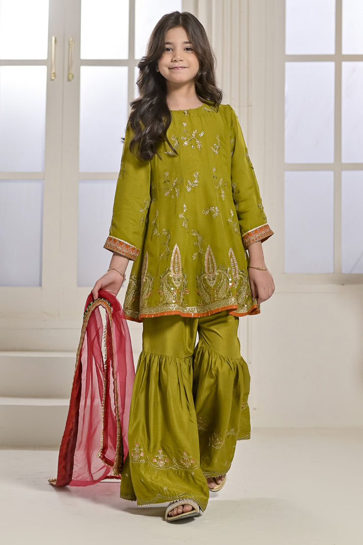 Rafia Chiffon - Occasions - N2428