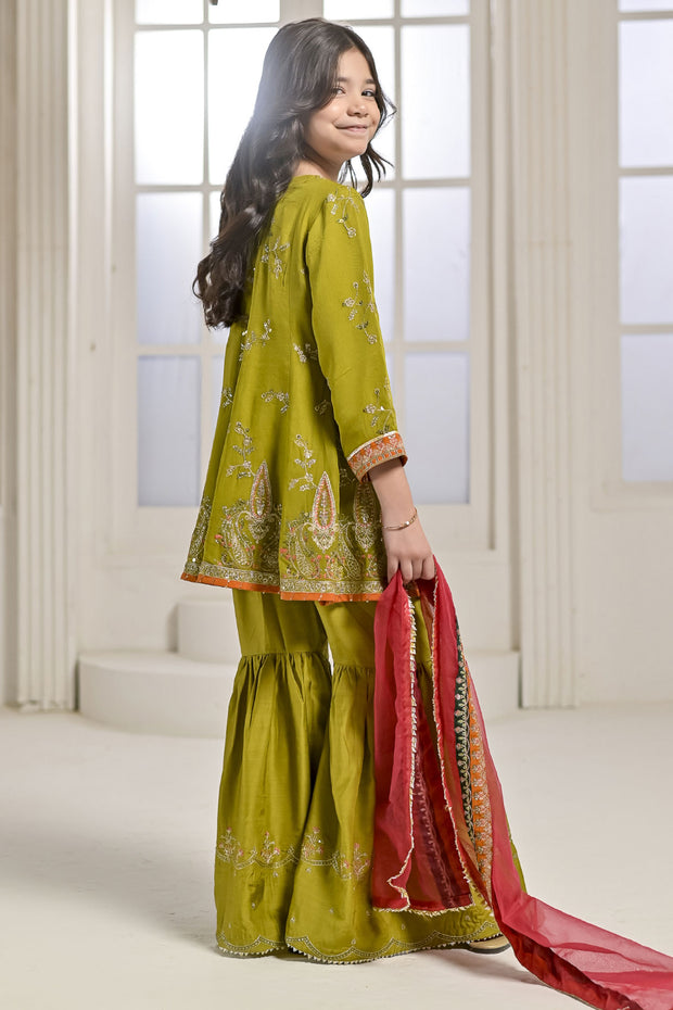 Rafia Chiffon - Occasions - N2428