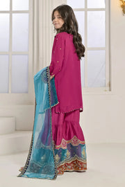 Rafia Chiffon - Occasions - N2423