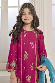 Rafia Chiffon - Occasions - N2423