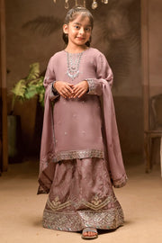 Rafia Chiffon - Occasions - N2437