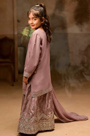 Rafia Chiffon - Occasions - N2437
