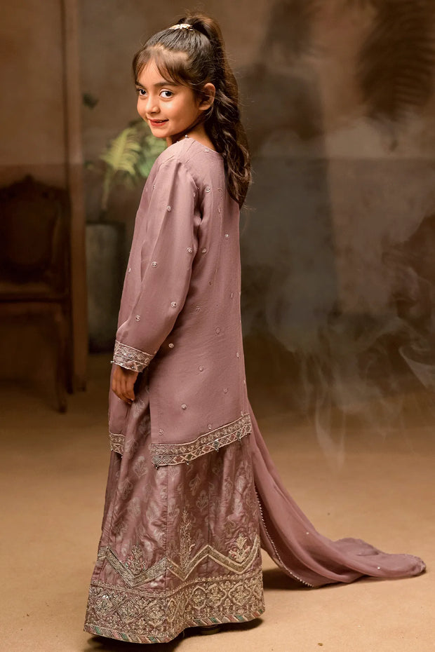 Rafia Chiffon - Occasions - N2437