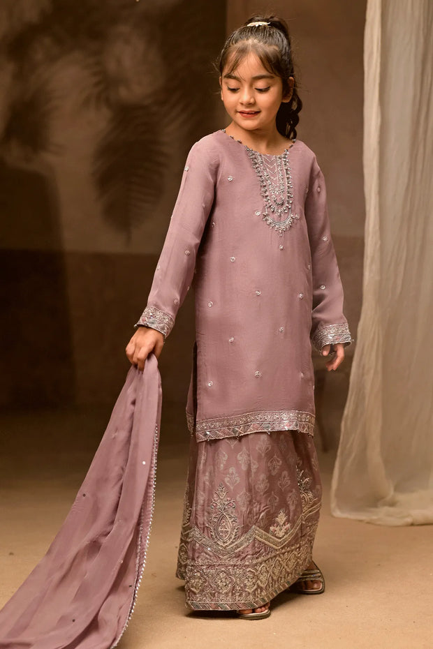 Rafia Chiffon - Occasions - N2437